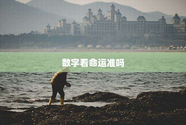 数字看命运准吗