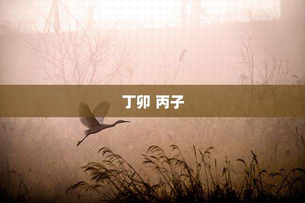 丁卯 丙子