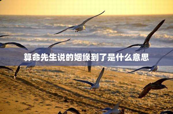 算命先生说的姻缘到了是什么意思