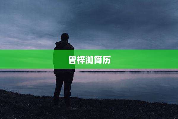 曾梓洳简历