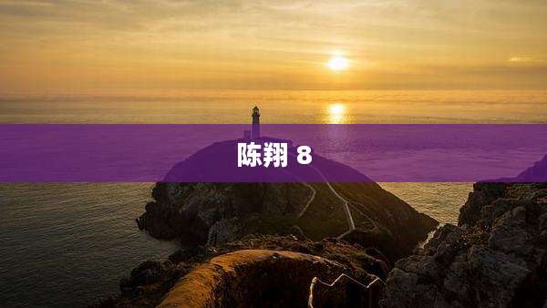陈翔 8