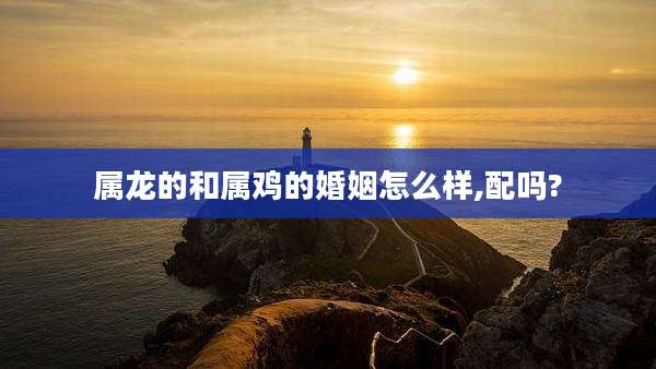 属龙的和属鸡的婚姻怎么样,配吗?
