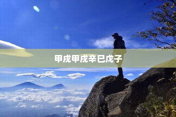 甲戌甲戌辛巳戊子