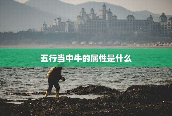 五行当中牛的属性是什么