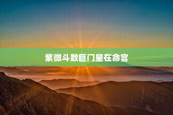紫微斗数巨门星在命宫