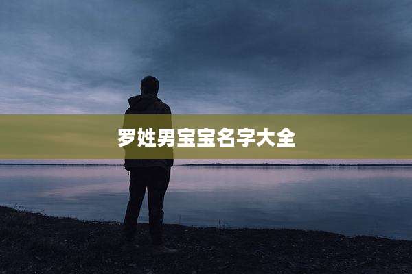 罗姓男宝宝名字大全