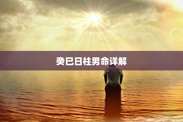 癸巳日柱男命详解