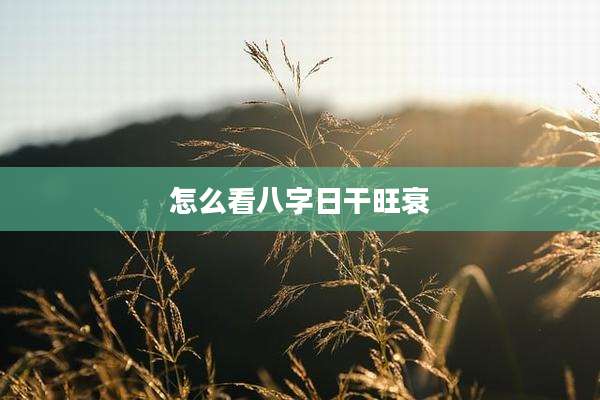 怎么看八字日干旺衰