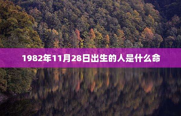 1982年11月28日出生的人是什么命