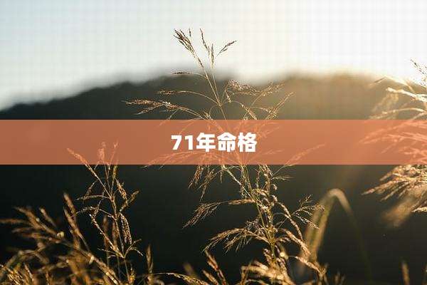 71年命格