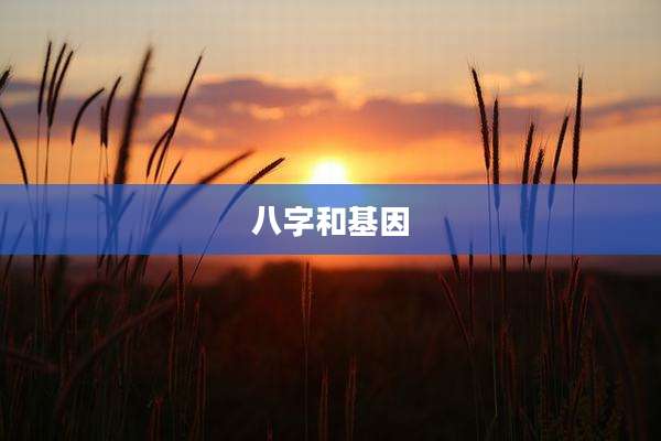 八字和基因