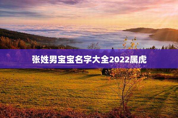张姓男宝宝名字大全2022属虎