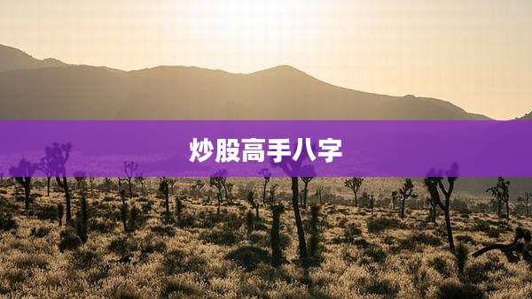 炒股高手八字