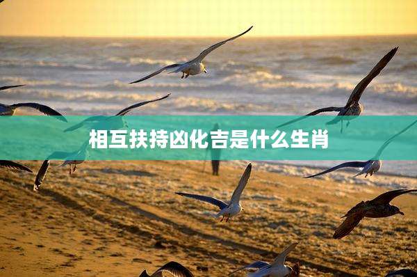 相互扶持凶化吉是什么生肖