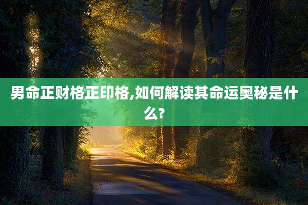 男命正财格正印格,如何解读其命运奥秘是什么?