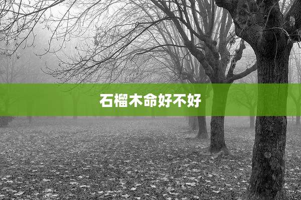 石榴木命好不好