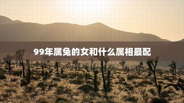 99年属兔的女和什么属相最配