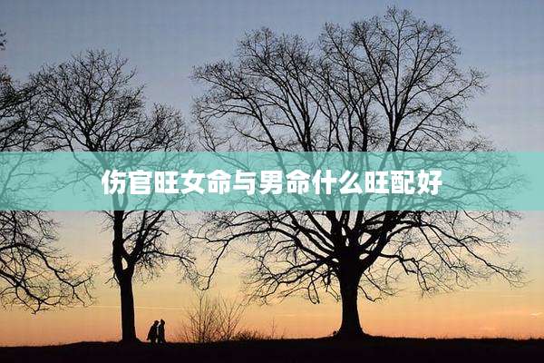 伤官旺女命与男命什么旺配好