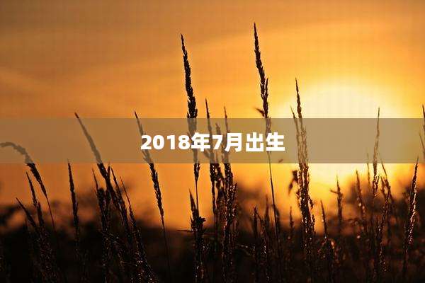 2018年7月出生