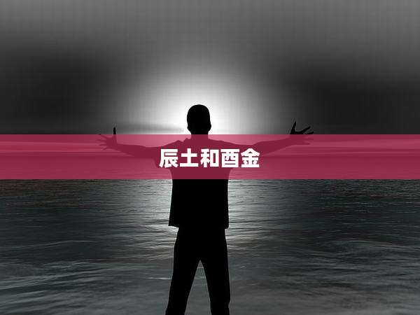 辰土和酉金