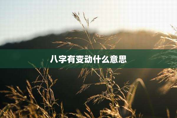 八字有变动什么意思
