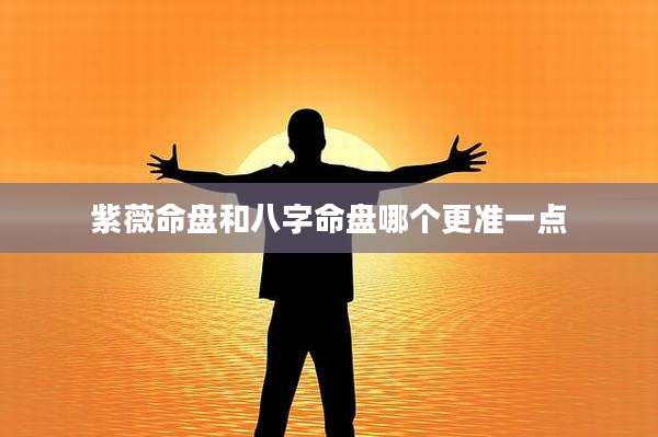 紫薇命盘和八字命盘哪个更准一点