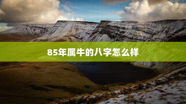 85年属牛的八字怎么样