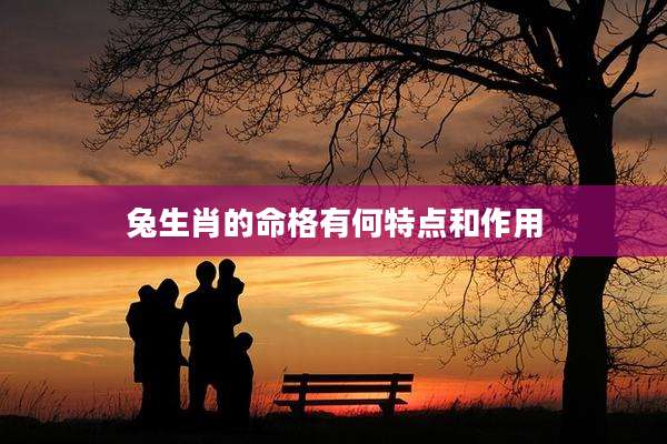 兔生肖的命格有何特点和作用