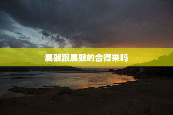 属猴跟属猴的合得来吗
