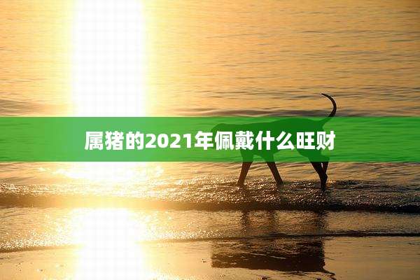 属猪的2021年佩戴什么旺财