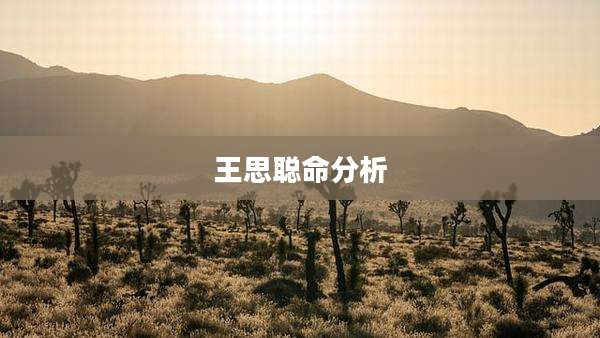 王思聪命分析