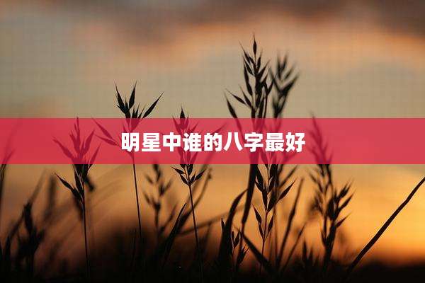 明星中谁的八字最好