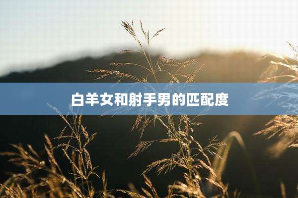 白羊女和射手男的匹配度