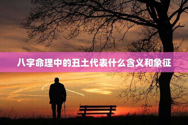 八字命理中的丑土代表什么含义和象征