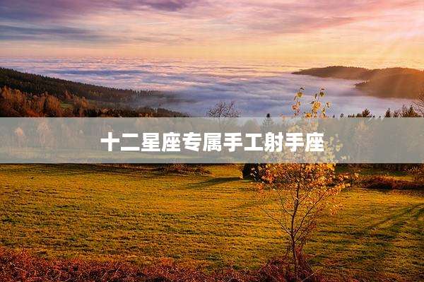 十二星座专属手工射手座