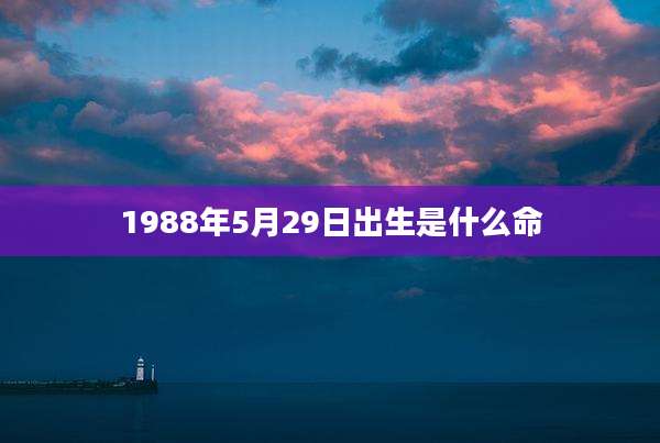 1988年5月29日出生是什么命