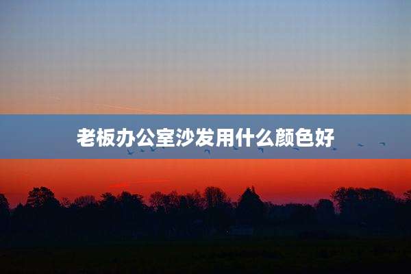 老板办公室沙发用什么颜色好
