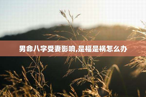男命八字受妻影响,是福是祸怎么办