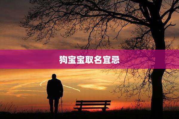 狗宝宝取名宜忌