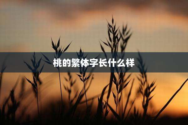 桃的繁体字长什么样