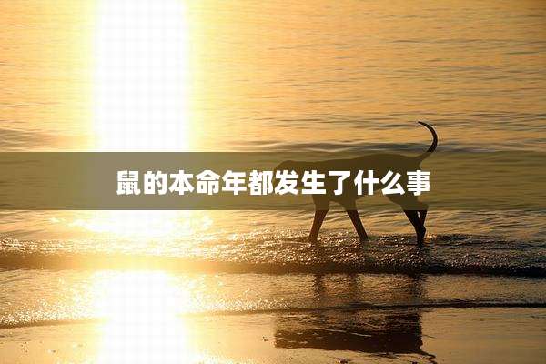 鼠的本命年都发生了什么事