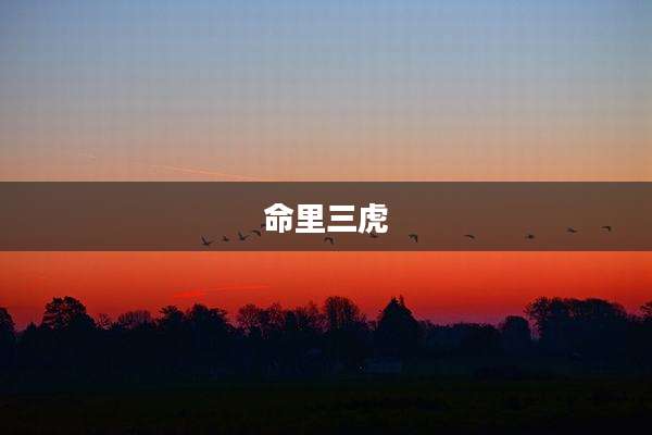 命里三虎