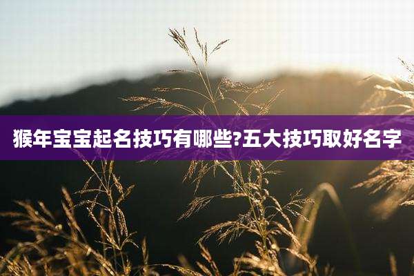 猴年宝宝起名技巧有哪些?五大技巧取好名字