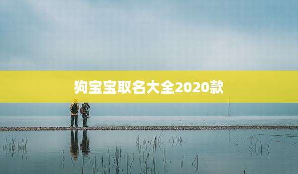 狗宝宝取名大全2020款