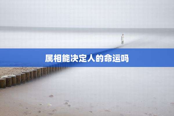 属相能决定人的命运吗