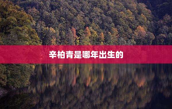 辛柏青是哪年出生的