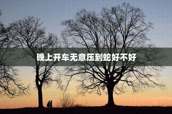 晚上开车无意压到蛇好不好