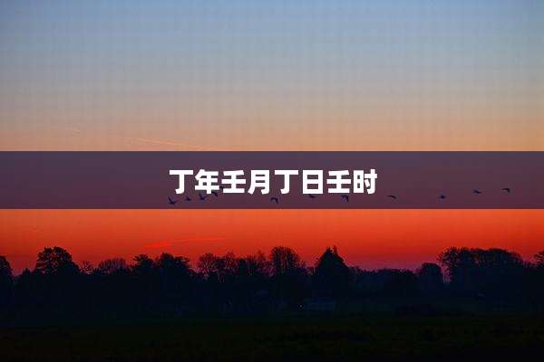 丁年壬月丁日壬时