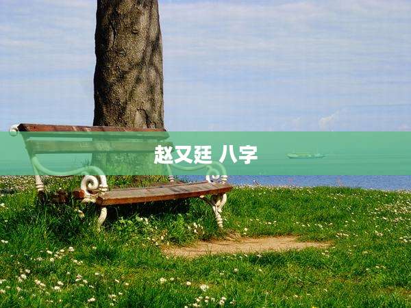 赵又廷 八字