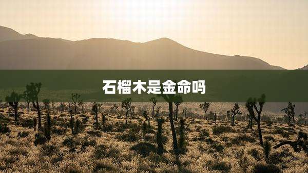 石榴木是金命吗